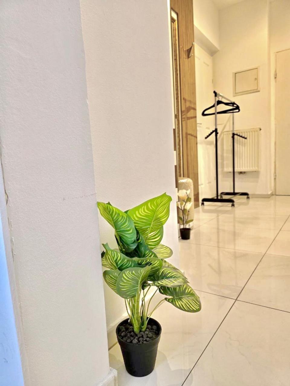 W - Brigittenau Area Mm6 Appartement